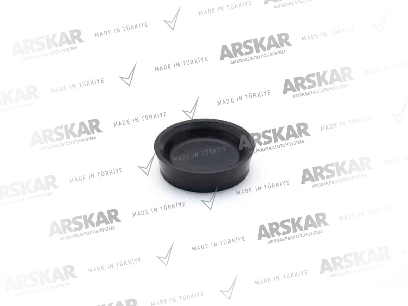 ARS.3810